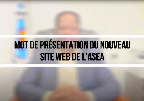 presentation of the website